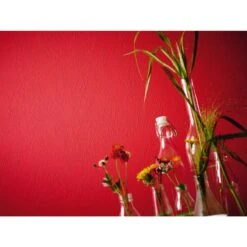 A.S. Creation Meistervlies | 103512 | Papier Peint Intissé Enduit | 0.53 M X 10.05 M | Blanc -A.S. Creation Soldes 103512 3