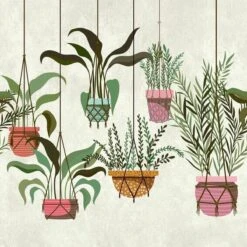 A.S. Creation AS Creation Metropolitan Stories "The Wall" - PAPIER PEINT PHOTO PLANTES ACCROCHÉES - 1,59 X 2,80 Mètres - Motif Reproductible -A.S. Creation Soldes 1200x1200 72