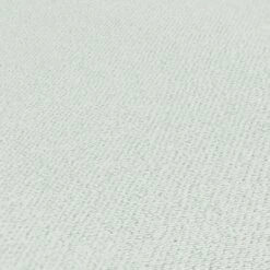 A.S. Creation Papier Peint Uni Vert - Papier Peint Intissé - A.S. Création - Unicolore 8 A.S. Creation Papier Peint Uni Vert - Papier Peint Intissé - A.S. Création - Unicolore -A.S. Creation Soldes 390398 9