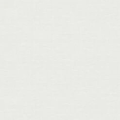 A.S. Creation Papier Peint Uni Gris Crème - Papier Peint Intissé Art A.S. Création - Mat Et Légèrement Structuré -A.S. Creation Soldes 390851 4