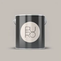 A.S. Creation Peinture Murale Premium Gris - PURO C1011 Gris Crème