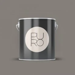 A.S. Creation Peinture Murale Premium Gris - PURO C1012 Gris Crème