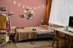 A.S. Creation Peinture Murale Premium Rouge - PURO C2018 Rouge Varié 7 A.S. Creation Peinture Murale Premium Rouge - PURO C2018 Rouge Varié -A.S. Creation Soldes DD125827 3