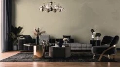 A.S. Creation Peinture Murale Premium Vert - PURO C6004 Chaux Douce -A.S. Creation Soldes DD125986 3