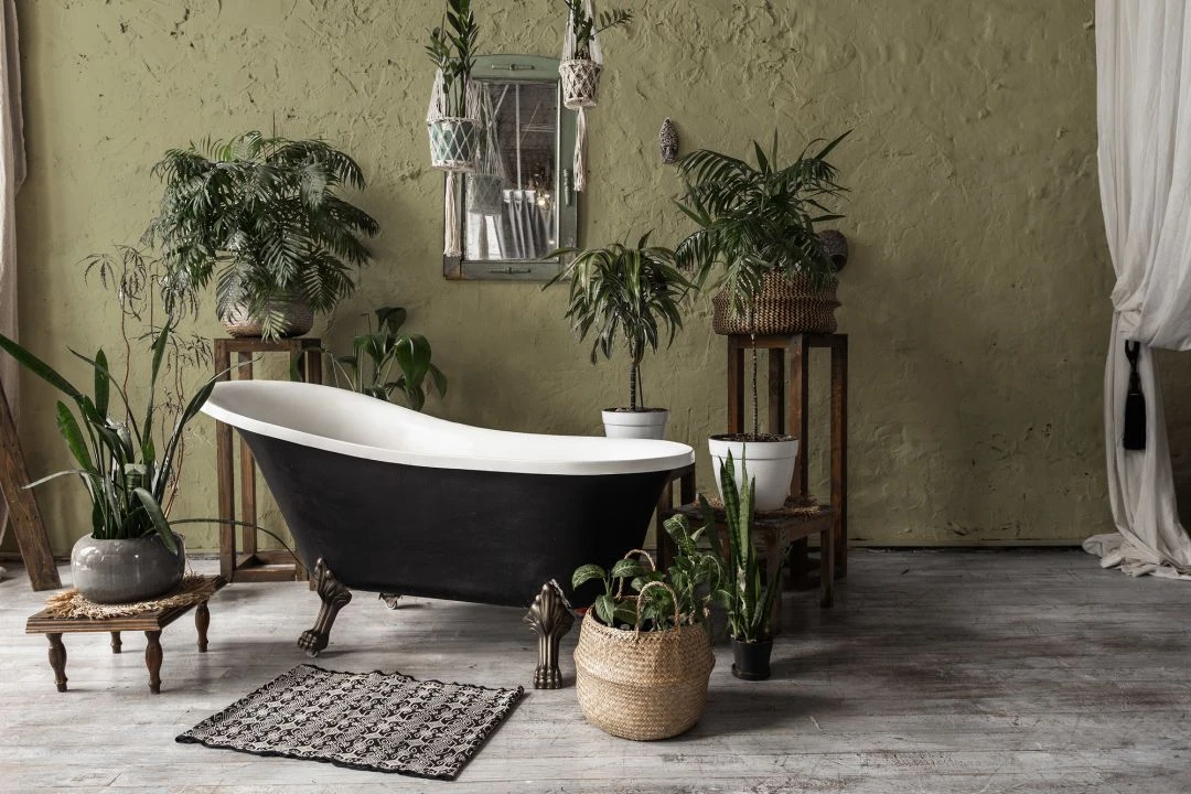 A.S. Creation Peinture Murale Premium Vert - PURO C6008 Chaux Douce 3 A.S. Creation Peinture Murale Premium Vert - PURO C6008 Chaux Douce – Image 3