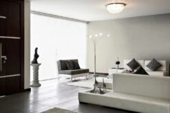 A.S. Creation Peinture Murale Premium Crème - PURO C7007 Marron Doux 7 A.S. Creation Peinture Murale Premium Crème - PURO C7007 Marron Doux -A.S. Creation Soldes DD126025 3