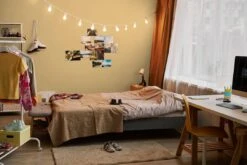 A.S. Creation Peinture Murale Premium Jaune - PURO C8000 Jaune Soleil 7 A.S. Creation Peinture Murale Premium Jaune - PURO C8000 Jaune Soleil -A.S. Creation Soldes DD126094 3