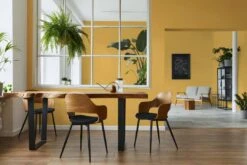 A.S. Creation Peinture Murale Premium Jaune - PURO C8005 Jaune Soleil -A.S. Creation Soldes DD126109 3