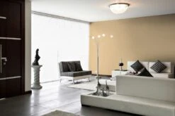 A.S. Creation Peinture Murale Premium Beige - PURO C8010 Lisse Safran 7 A.S. Creation Peinture Murale Premium Beige - PURO C8010 Lisse Safran -A.S. Creation Soldes DD126124 3