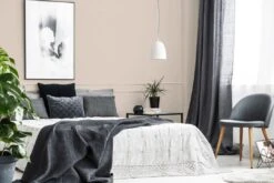 A.S. Creation Peinture Murale Premium Beige - PURO C9010 Divers Abricot -A.S. Creation Soldes DD126169 3