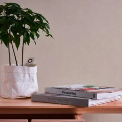 A.S. Creation Papier Peint Beige Uni - Papier Peint Uni Pour La Cuisine, Le Salon -A.S. Creation Soldes as creation tapete casual living 393392 ambiente4