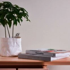 A.S. Creation Papier Peint Uni Lin Crème Gris - Papier Peint Intissé Texturé