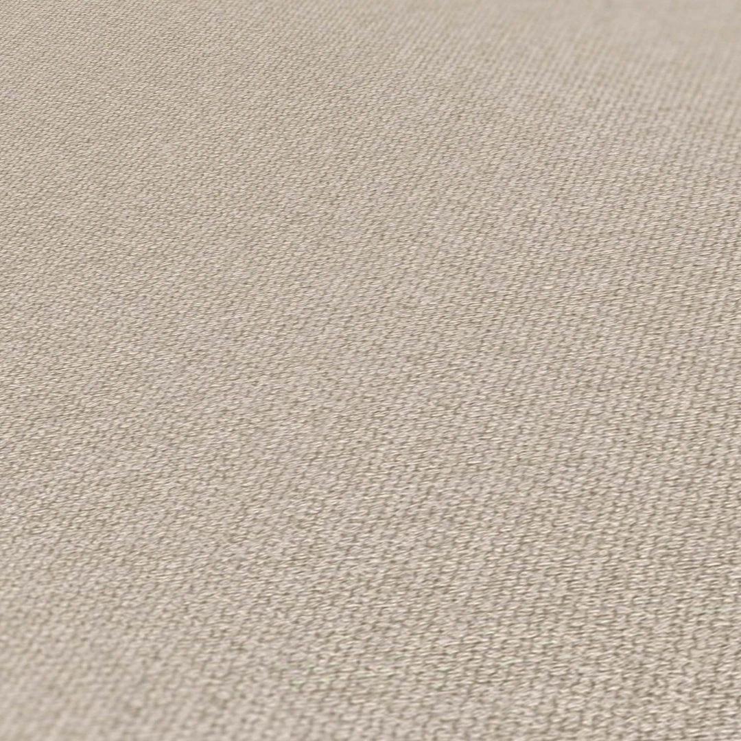 A.S. Creation Papier Peint Greige - Papier Peint Intissé Uni Beige Gris - Papier Peint Mural Aspect Tissu 4 A.S. Creation Papier Peint Greige - Papier Peint Intissé Uni Beige Gris - Papier Peint Mural Aspect Tissu – Image 4