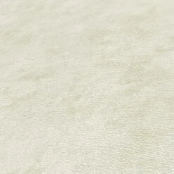 A.S. Creation Papier Peint Uni Vert - Papier Peint Intissé Cuisine - Papier Peint Salon Couloir -A.S. Creation Soldes as creation tapete terra 389225 muster 2