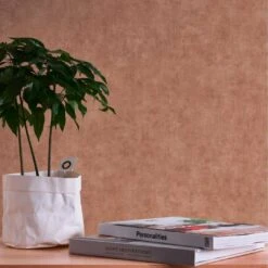 A.S. Creation Papier Peint Uni Beige Marron - Papier Peint Cuisine - Papier Peint Intissé Salon Couloir