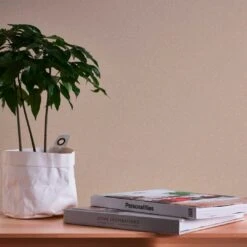 A.S. Creation Papier Peint Beige Uni - Papier Peint Uni Cuisine - Papier Peint Intissé Salon Bureau -A.S. Creation Soldes as creation tapete terra 389252 ambiente 6