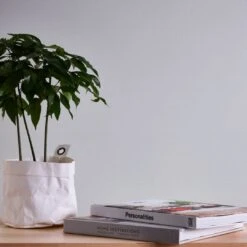 A.S. Creation Papier Peint Intissé Recouvrable A.S. Création Meistervlies 4 Protect GO Blanc, Recouvrable -A.S. Creation Soldes as creation vliestapete meistervlies 2020 935271 ambiente