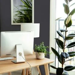 A.S. Creation Peinture Murale Noir Satiné Mat - THE COLOR KITCHEN Casual Caviar -A.S. Creation Soldes as creation wandfarbe farbe the color kitchen dd125524 ambiente4