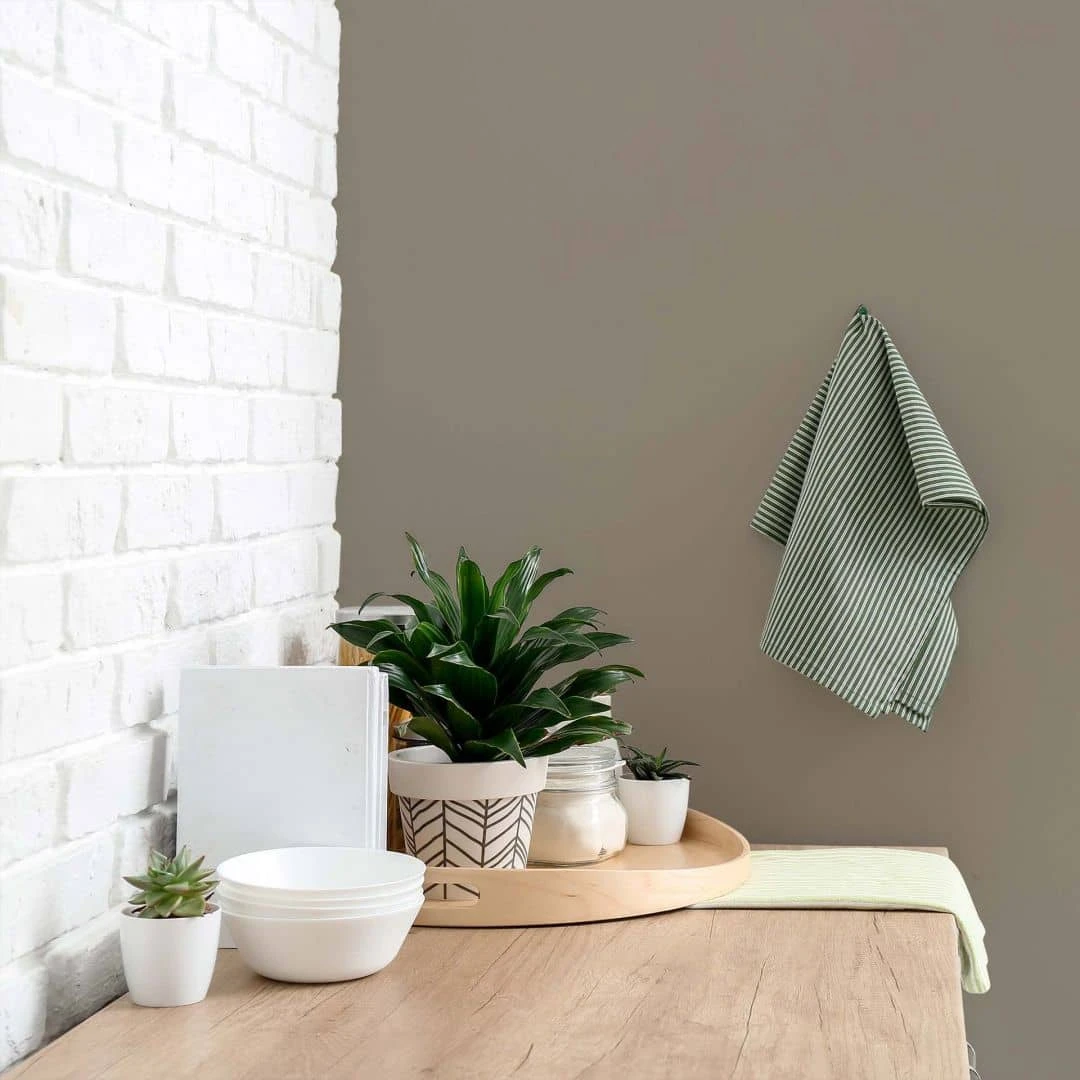 A.S. Creation Peinture Murale Taupe Soie Mat - THE COLOR KITCHEN Aesthetic Ajwain 3 A.S. Creation Peinture Murale Taupe Soie Mat - THE COLOR KITCHEN Aesthetic Ajwain – Image 3