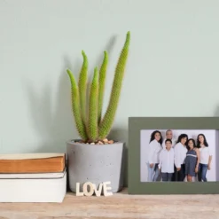 A.S. Creation Peinture Murale Vert Soie Mat - THE COLOR KITCHEN Perky Peppermint -A.S. Creation Soldes as creation wandfarbe farbe the color kitchen dd125570 ambiente5