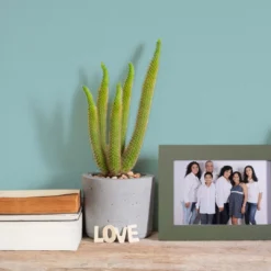 A.S. Creation Peinture Murale Vert Turquoise Satiné Mat - THE COLOR KITCHEN -A.S. Creation Soldes as creation wandfarbe farbe the color kitchen dd125584 ambiente5