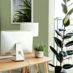 A.S. Creation Peinture Murale Vert Soie Mat - THE COLOR KITCHEN Balmy Basil -A.S. Creation Soldes as creation wandfarbe farbe the color kitchen dd125602 ambiente3