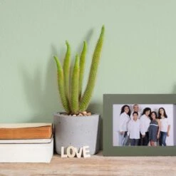 A.S. Creation Peinture Murale Vert Semi-mat - THE COLOR KITCHEN Woodruff Cream -A.S. Creation Soldes as creation wandfarbe farbe the color kitchen dd125612 ambiente5