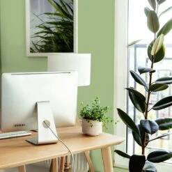 A.S. Creation Peinture Murale Vert Soie Mat - THE COLOR KITCHEN Green Grape 11 A.S. Creation Peinture Murale Vert Soie Mat - THE COLOR KITCHEN Green Grape -A.S. Creation Soldes as creation wandfarbe farbe the color kitchen dd125614 ambiente4