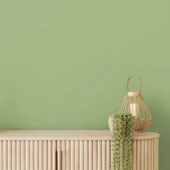 A.S. Creation Peinture Murale Vert Soie Mat - THE COLOR KITCHEN Green Grape 12 A.S. Creation Peinture Murale Vert Soie Mat - THE COLOR KITCHEN Green Grape -A.S. Creation Soldes as creation wandfarbe farbe the color kitchen dd125614 ambiente5