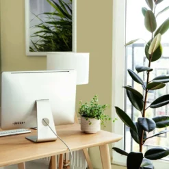 A.S. Creation Peinture Murale Vert Soie Mat - THE COLOR KITCHEN Mellow Matcha -A.S. Creation Soldes as creation wandfarbe farbe the color kitchen dd125618 ambiente4