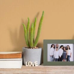 A.S. Creation Peinture Murale Orange Satiné Mat - THE COLOR KITCHEN Happy Honey 11 A.S. Creation Peinture Murale Orange Satiné Mat - THE COLOR KITCHEN Happy Honey -A.S. Creation Soldes as creation wandfarbe farbe the color kitchen dd125640 ambiente5