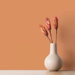 A.S. Creation Peinture Murale Orange Satiné Mat - THE COLOR KITCHEN Pretty Pumpkin 11 A.S. Creation Peinture Murale Orange Satiné Mat - THE COLOR KITCHEN Pretty Pumpkin -A.S. Creation Soldes as creation wandfarbe farbe the color kitchen dd125650 muster5