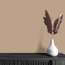 A.S. Creation Peinture Murale Marron Soyeux Mat - THE COLOR KITCHEN Friendly Fennel 11 A.S. Creation Peinture Murale Marron Soyeux Mat - THE COLOR KITCHEN Friendly Fennel -A.S. Creation Soldes as creation wandfarbe farbe the color kitchen dd125670 ambiente4