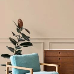 A.S. Creation Peinture Murale Beige Satiné Mat - THE COLOR KITCHEN Nutty Nutmeg 11 A.S. Creation Peinture Murale Beige Satiné Mat - THE COLOR KITCHEN Nutty Nutmeg -A.S. Creation Soldes as creation wandfarbe farbe the color kitchen dd125678 ambiente5