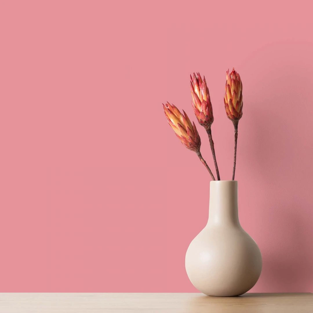 A.S. Creation Peinture Murale Rose Satiné Mat - THE COLOR KITCHEN Masterfully Macaron 3 A.S. Creation Peinture Murale Rose Satiné Mat - THE COLOR KITCHEN Masterfully Macaron – Image 3